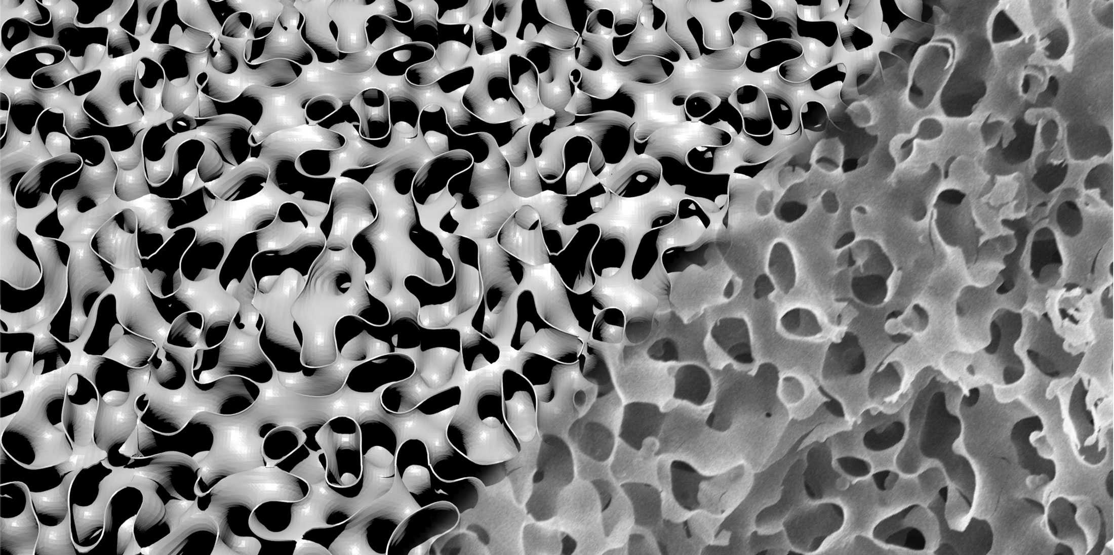 Rendering/SEM image of a nanolabyrithine material