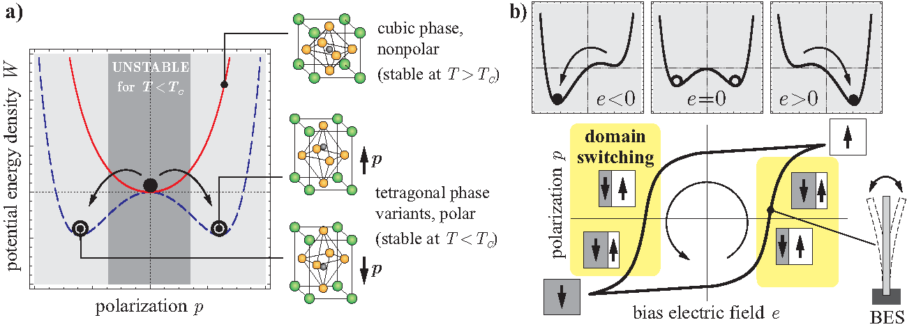 Enlarged view: Two graphical images: polarization density and electric field application