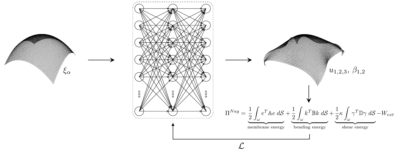 Enlarged view: A PINN can find the deformation of a shell structure in an unsupervised manner by directly minimizing the potential energy